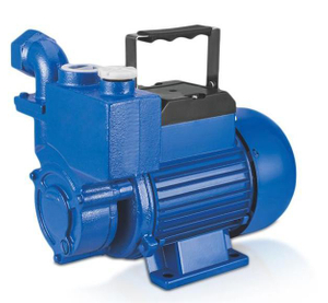 WZB Pompa Air self-priming domestik irigasi taman portabel